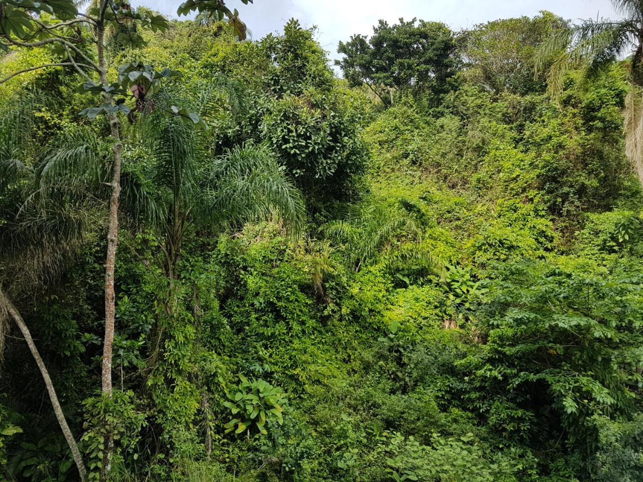 Apartamento Beira Mar Caraguatatuba Bagian luar foto